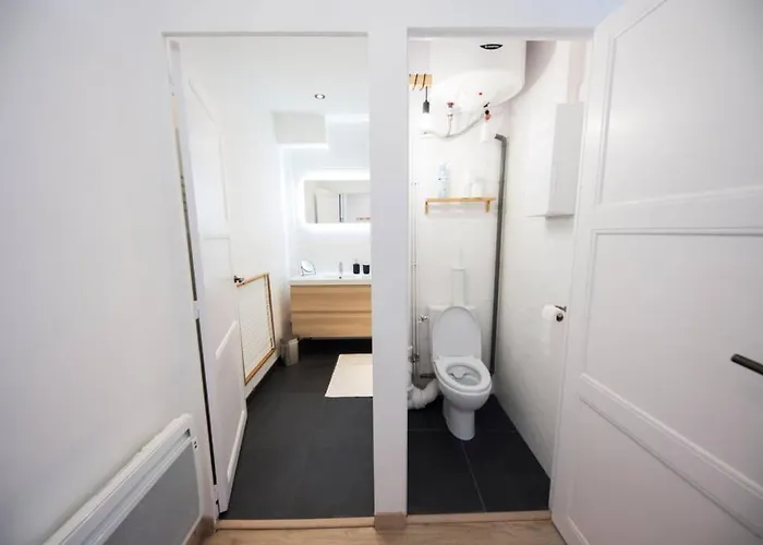 Le Sequoia Appart' Pour 4 Au Coeur De Vichy