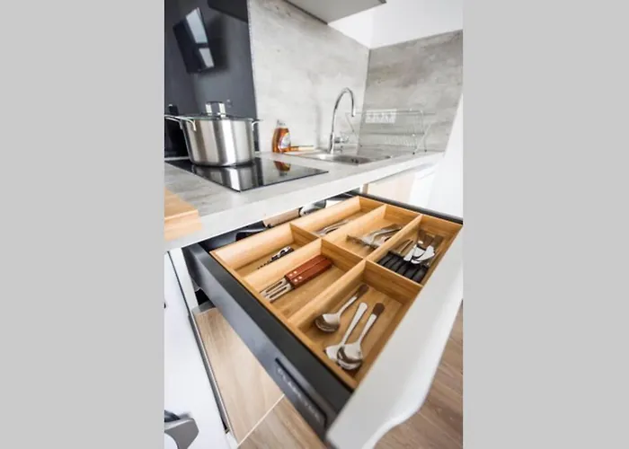 Le Sequoia Appart' Pour 4 Au Cœur De Appartement Vichy